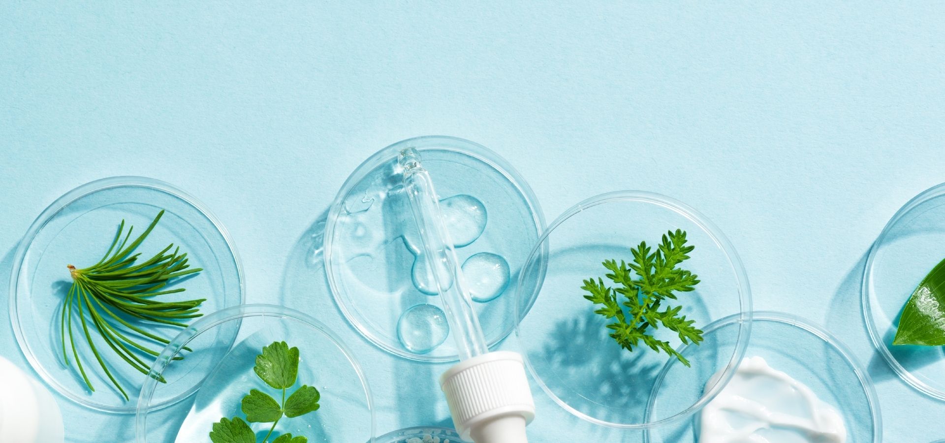 Doğal Cilt  Gençleştirme Maskeleri